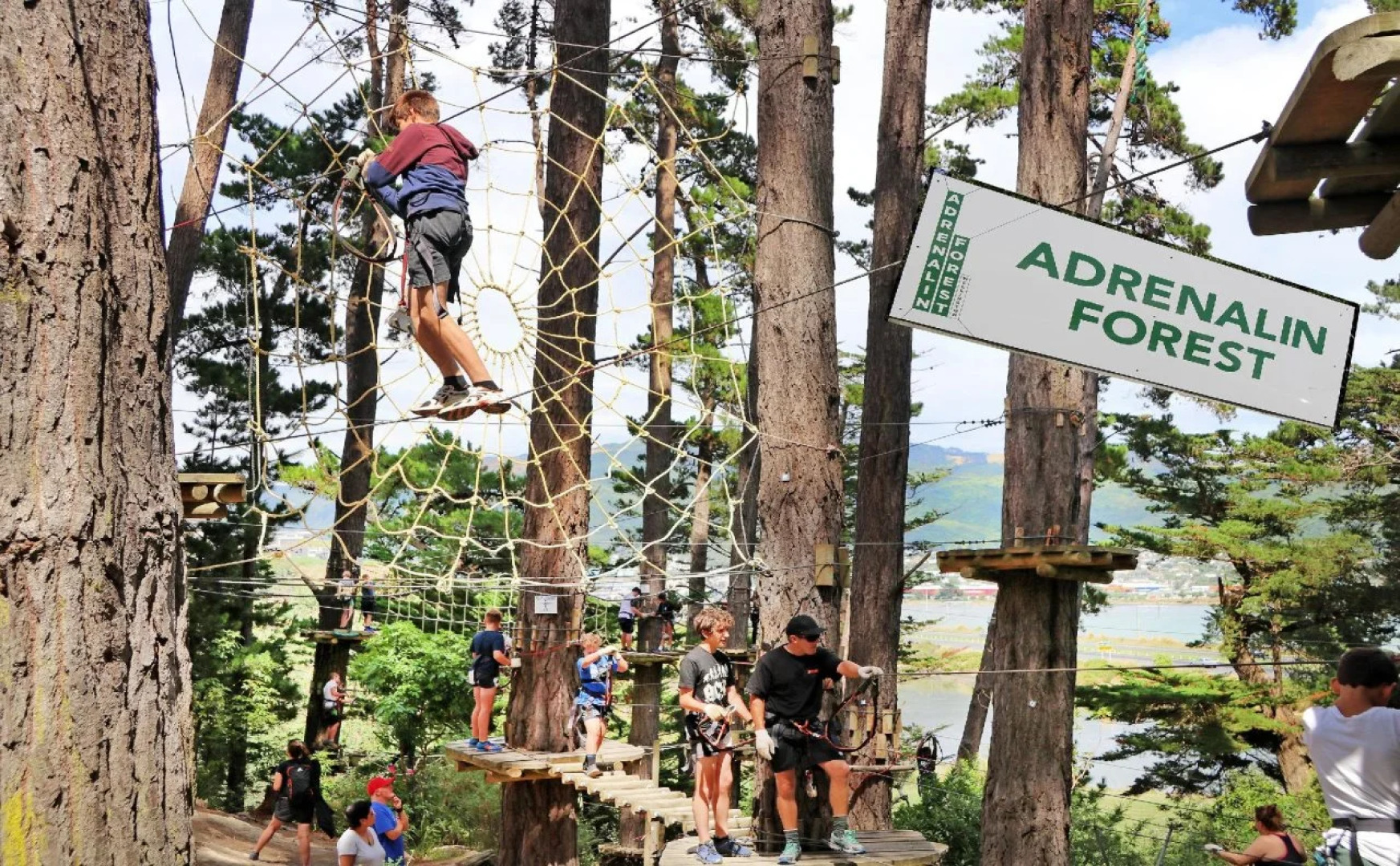 Amethyst Court Motorlodge