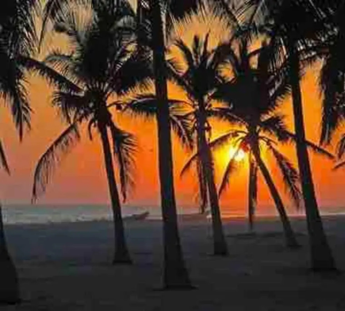 Beautiful Flat By The Beach Salalah