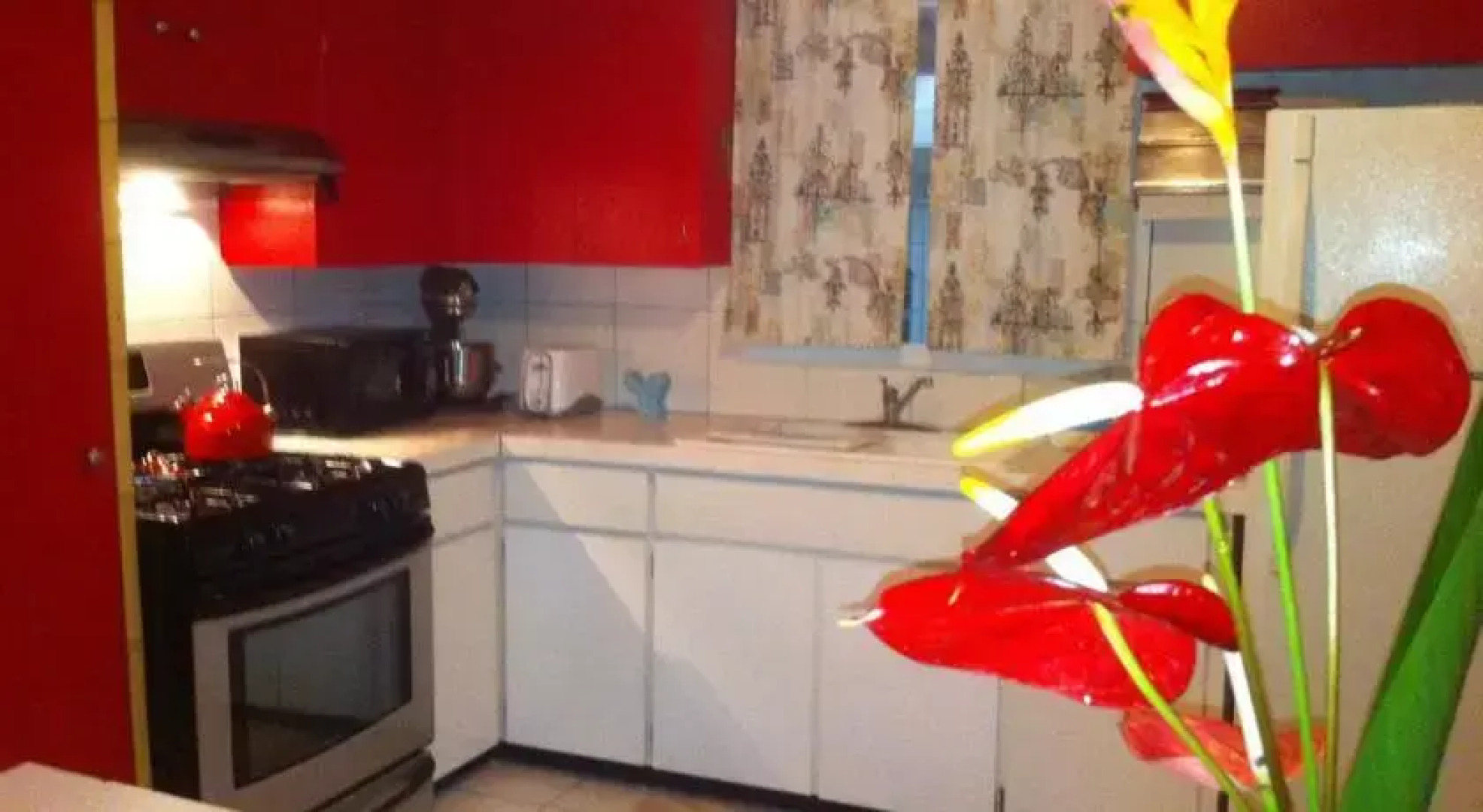 The Jungle Farmhouse