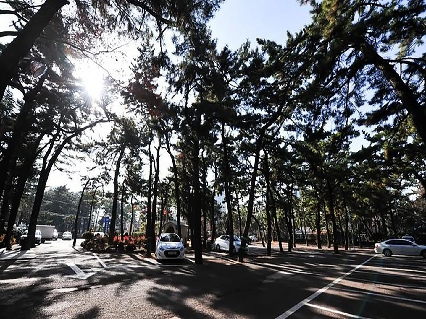 Commodore Hotel Pohang