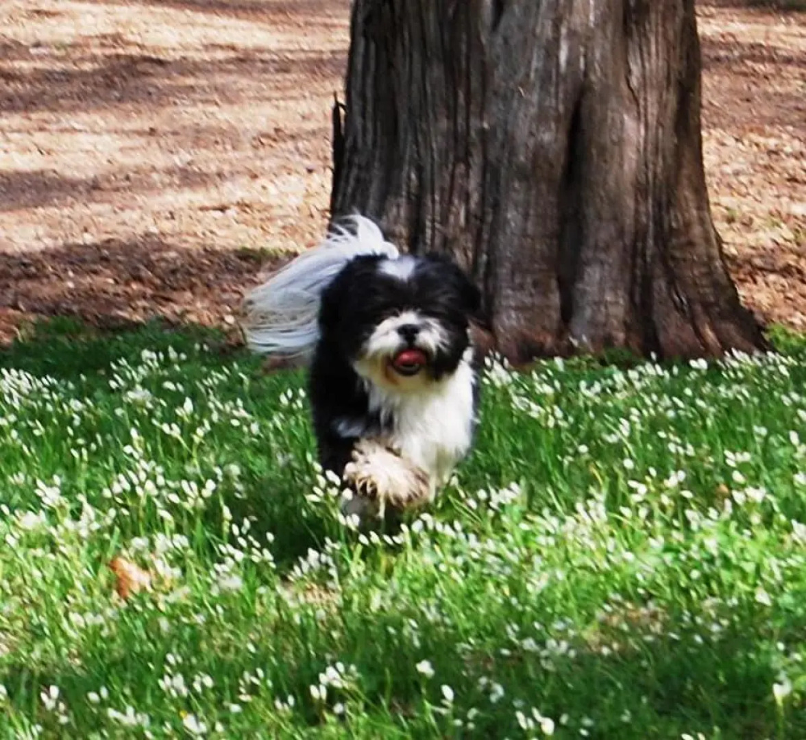 Glenfield Plantation Historic B&B