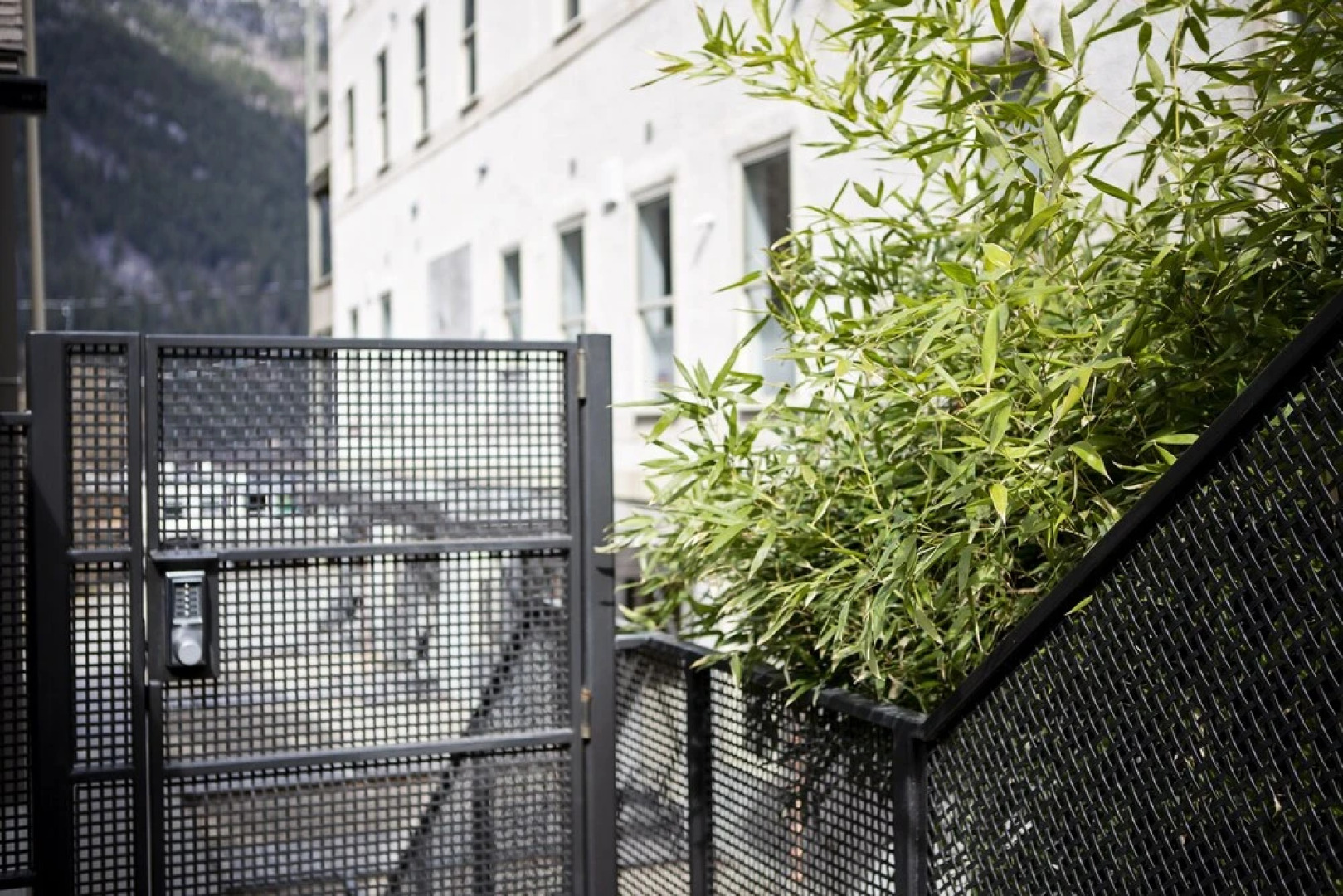 Stirling All Suites Hotel