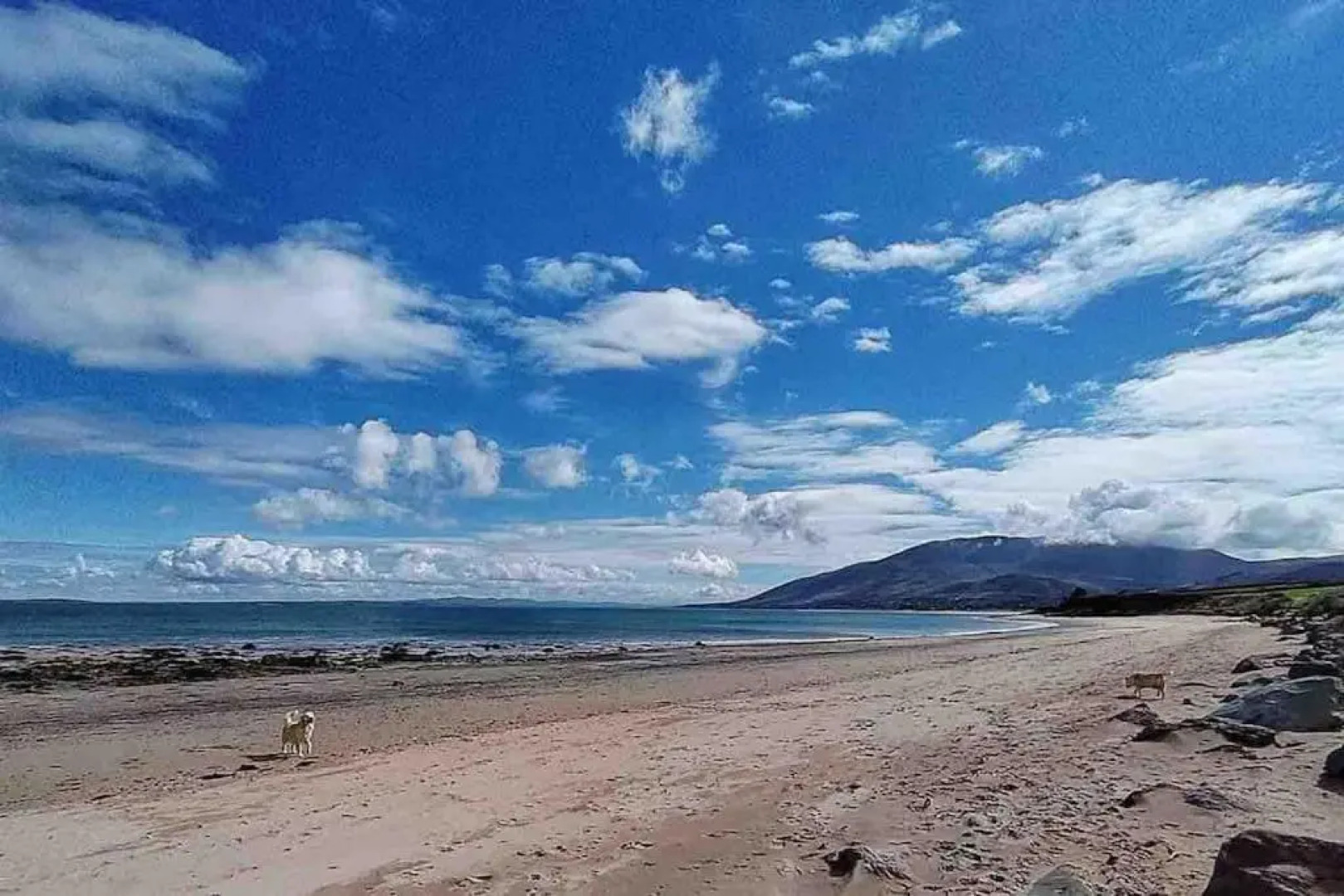 Castlegregory-Seaside 2 Bedroomed Cottage