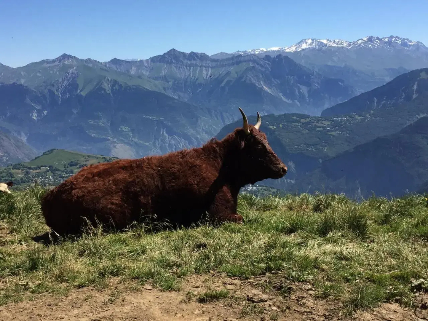 Résidence Les Pistes