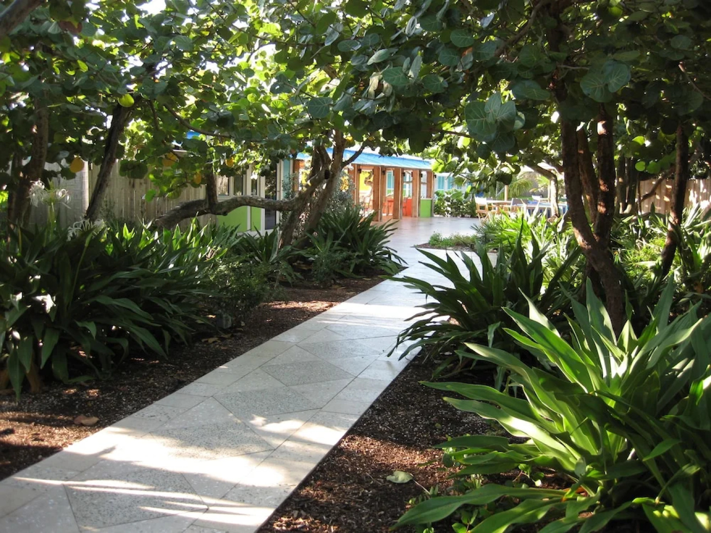 Colony Hotel & Cabaña Club