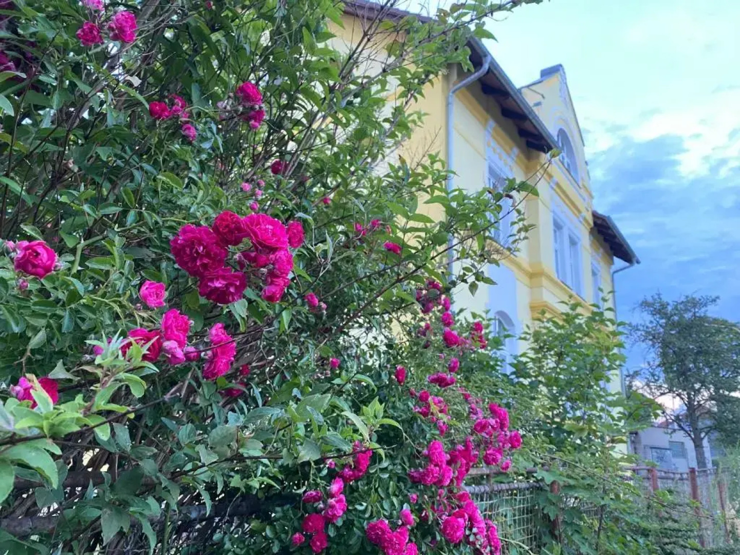 GALA ubytování v secesní vile Máchův kraj