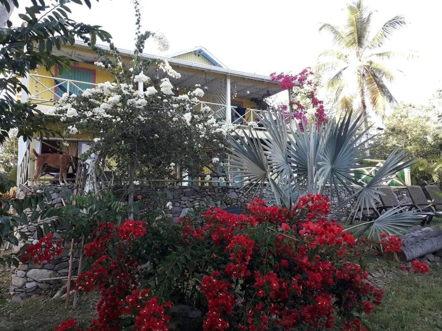 Yellow Home Casa Baja