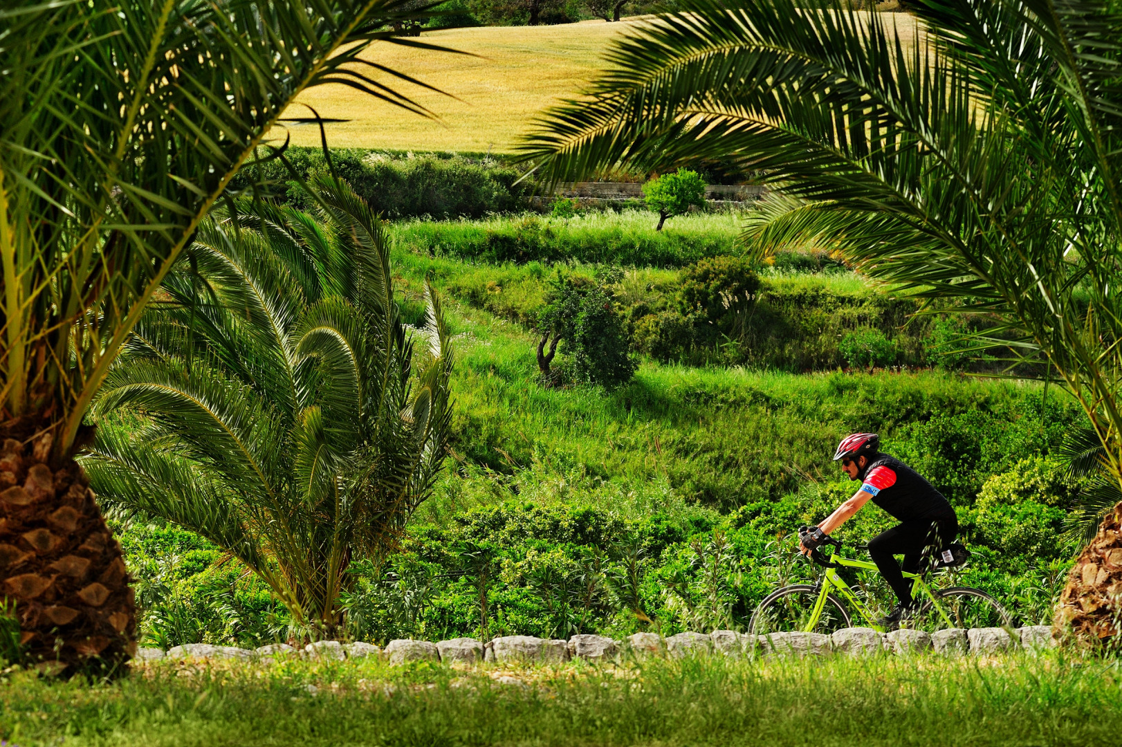 Kallikoros Country Resort & Spa