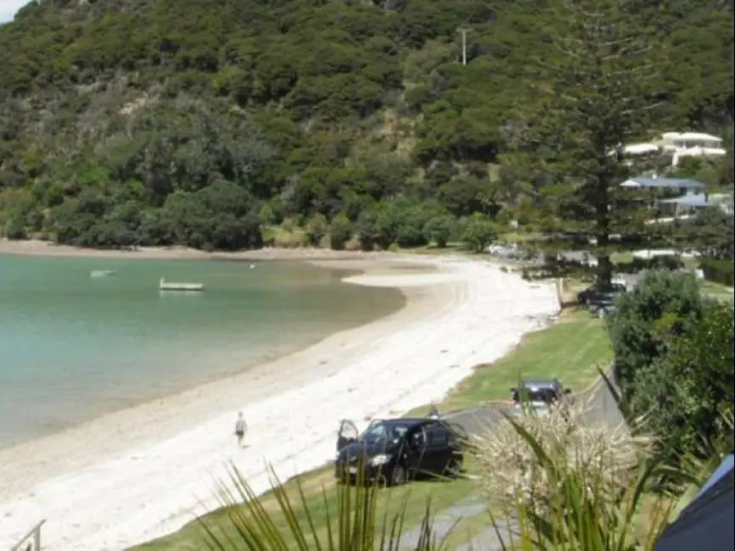 Coromandel Apartments Ltd