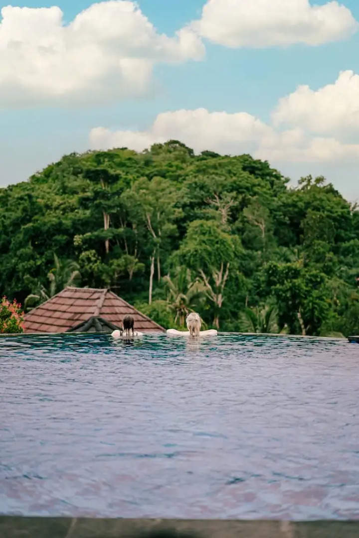 The Kleep Jungle Resort