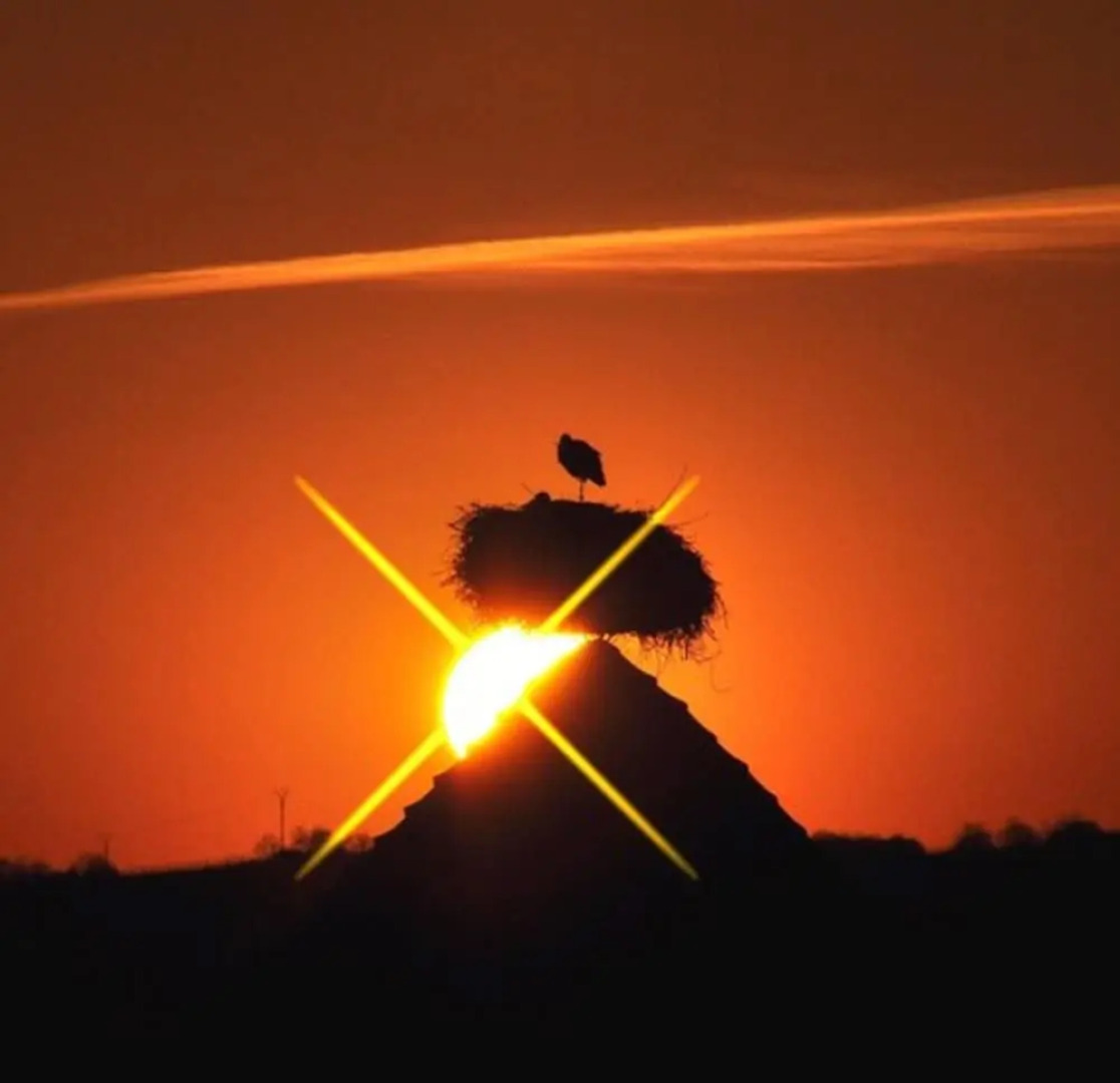 Hotel Restaurant Aux Bruyères