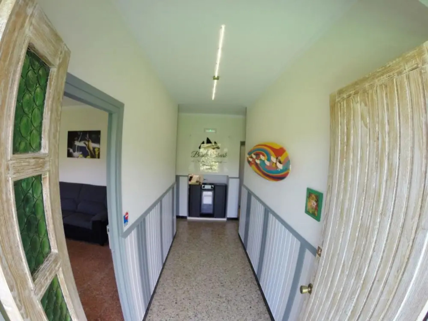 Black Shark Surfhouse