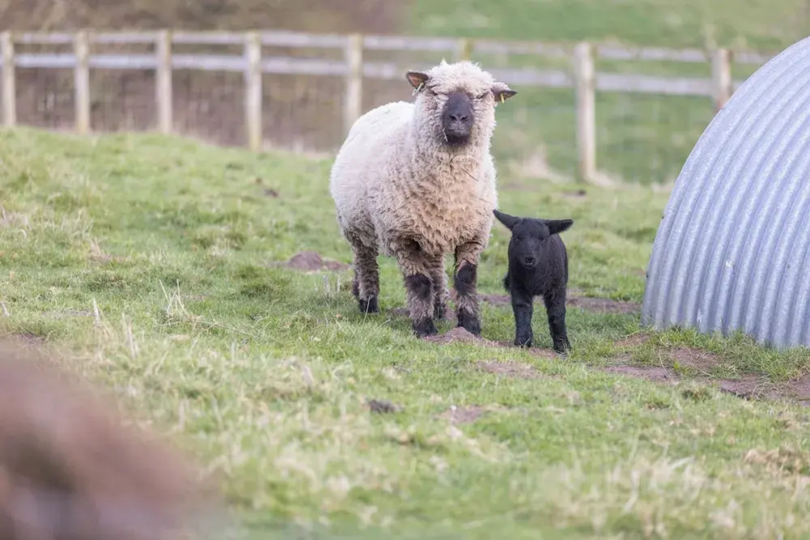 The Bothy - North East Escapes