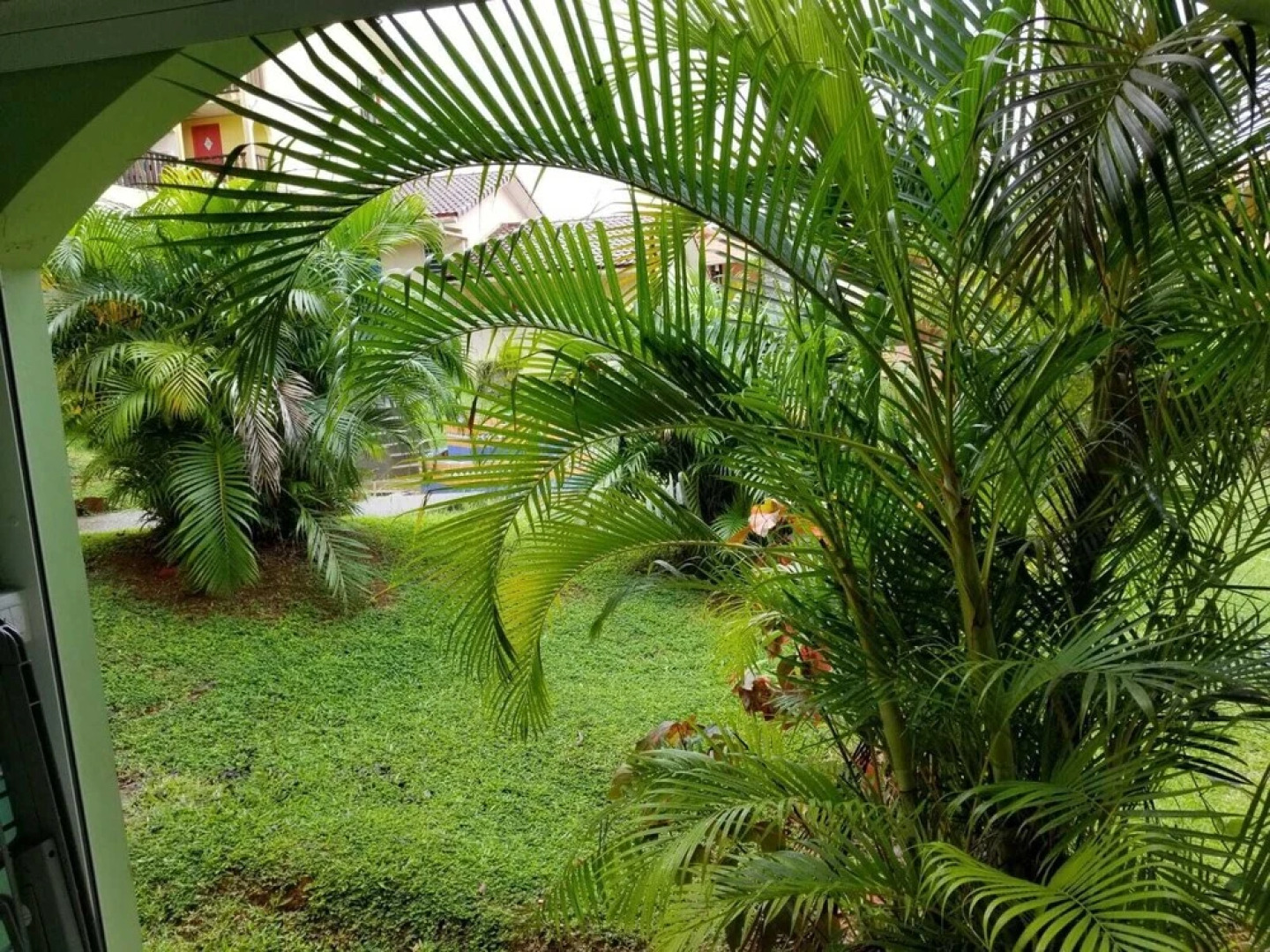 Studio Choupette domaine de L'Anse Caritan Residence Mahogany