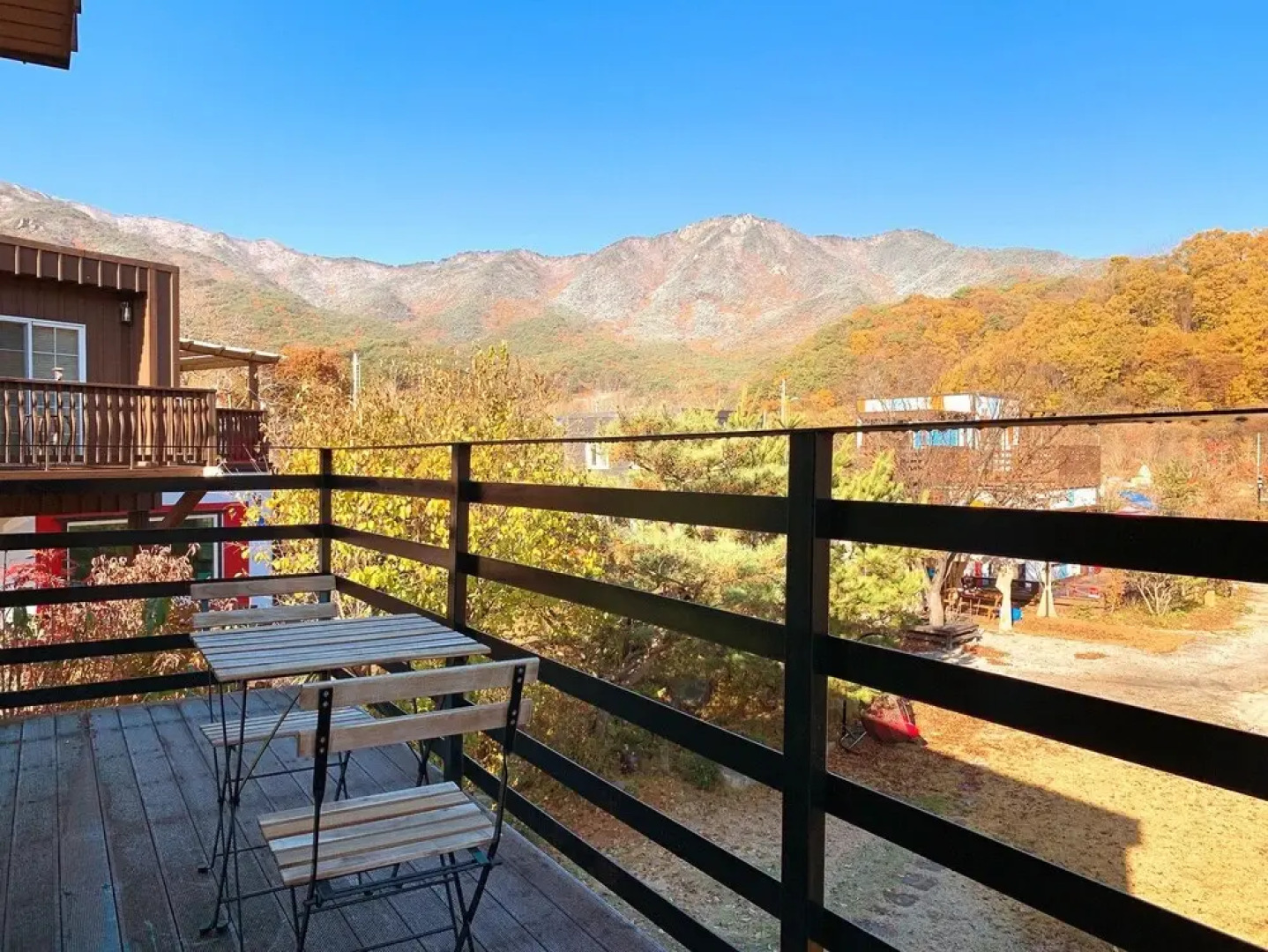 Assimilation of Forest