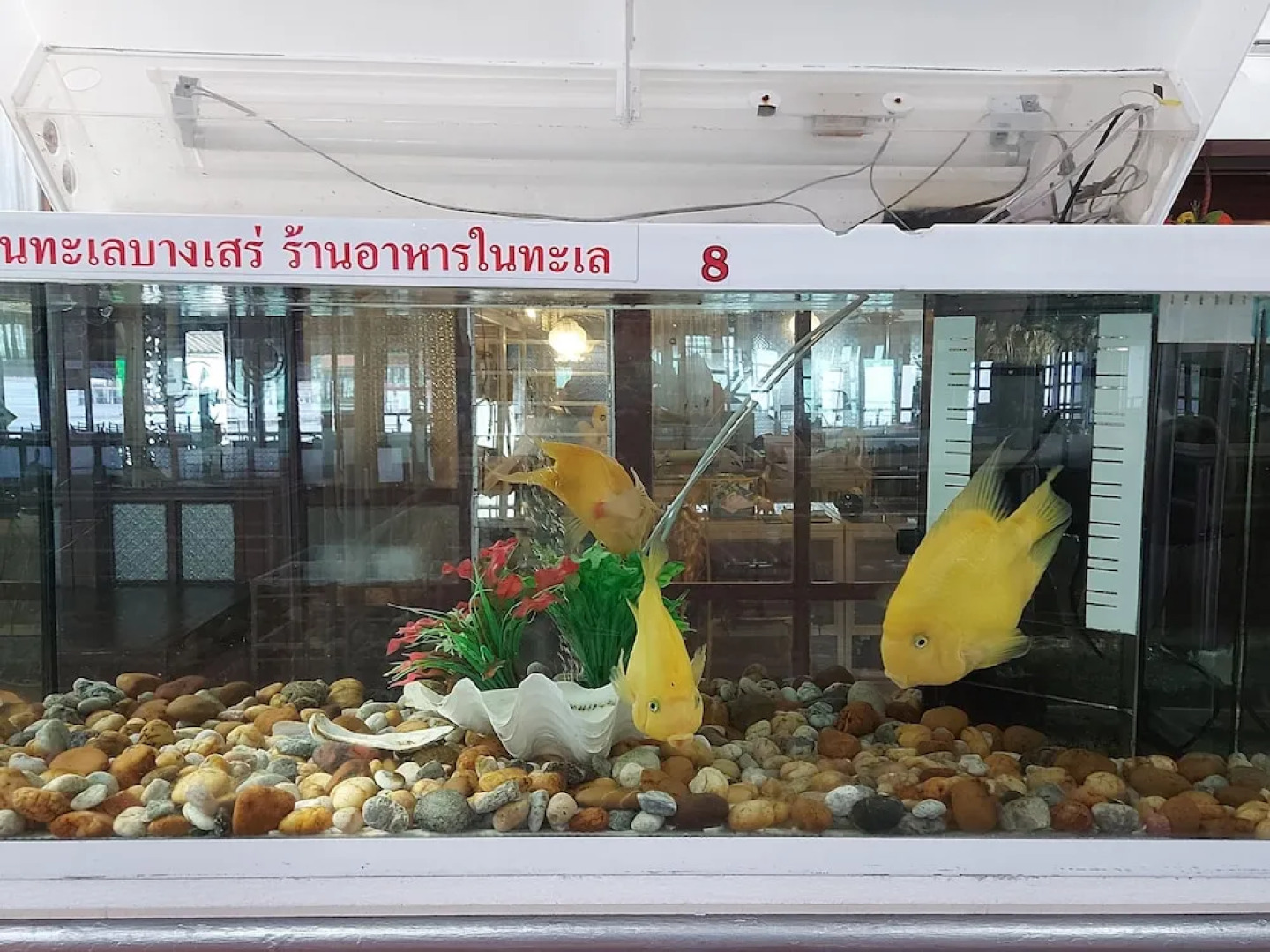 Ruantalay Bangsaray Resort