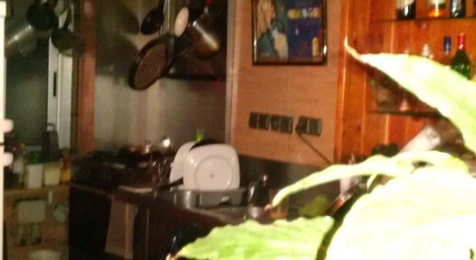 Hostal Blanes La Barca