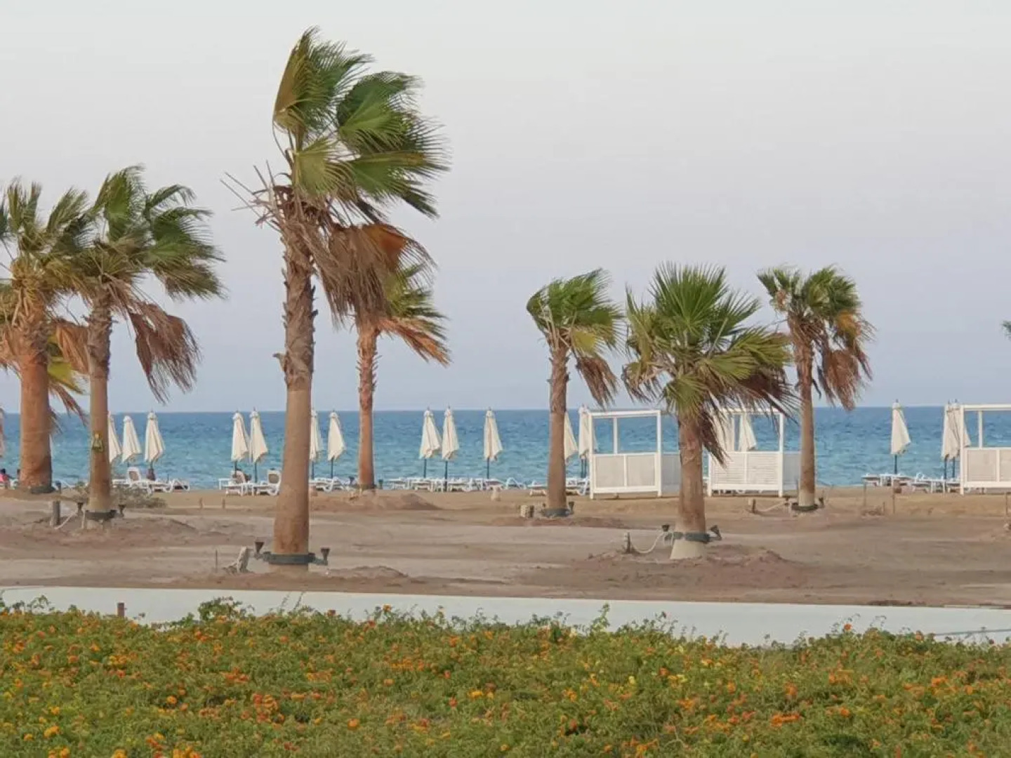 luxury apartment at Mangroovy El Gouna