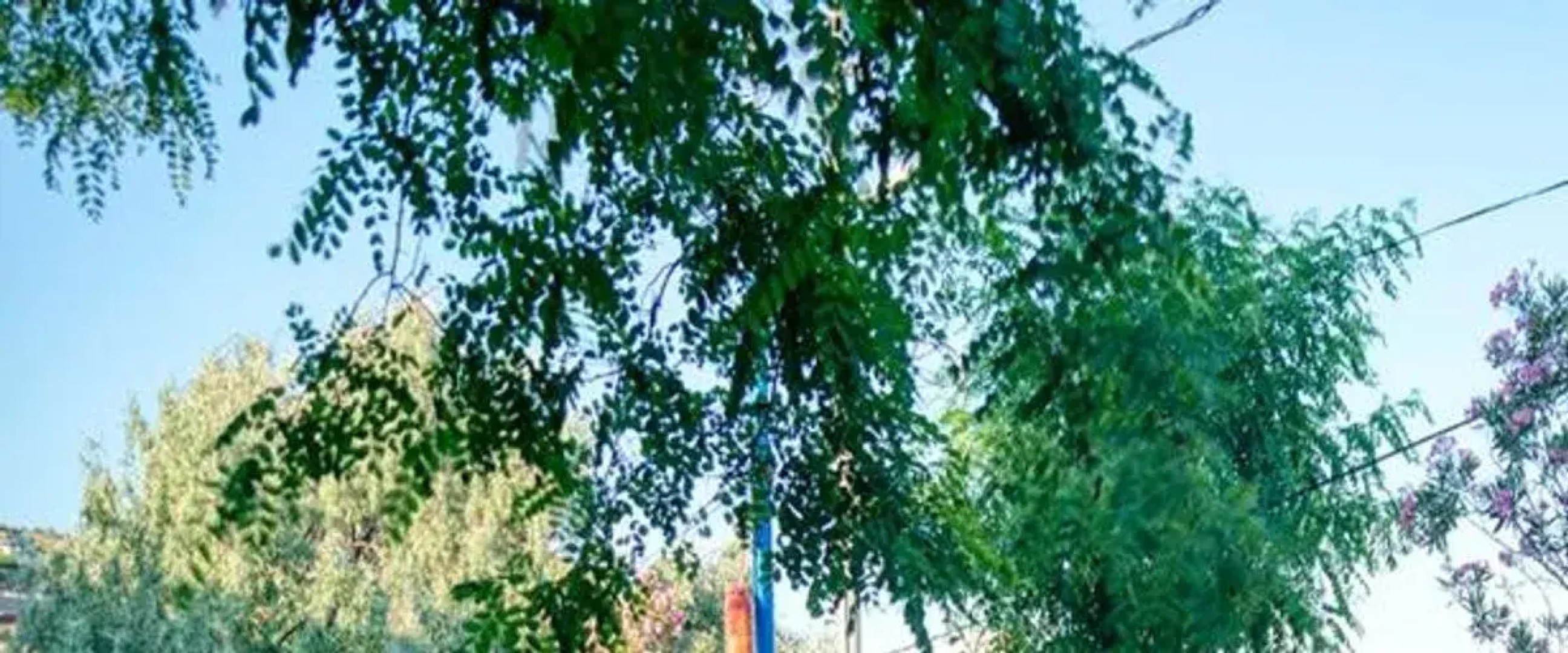 Pedasos Altinel Otel