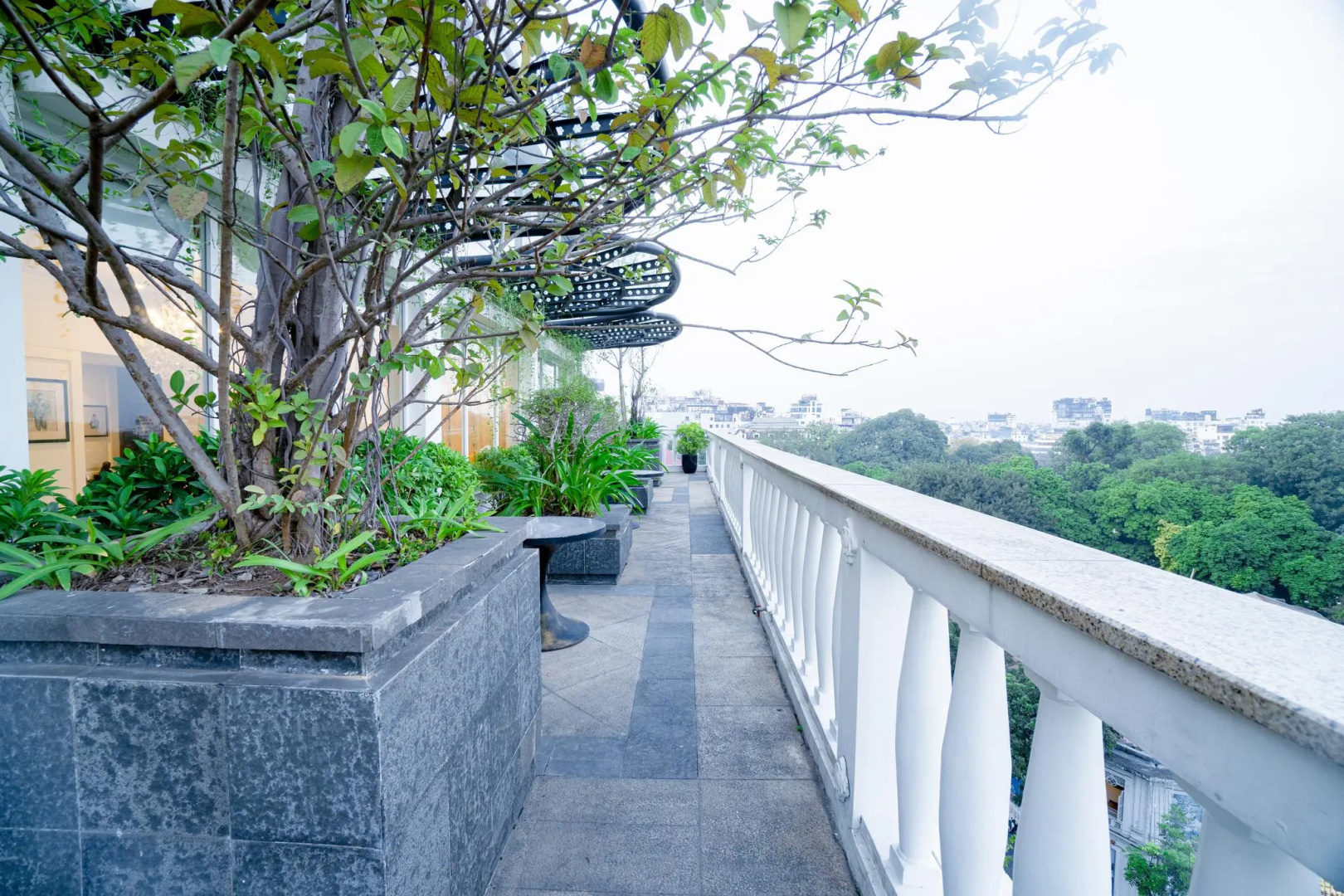Apricot Hotel