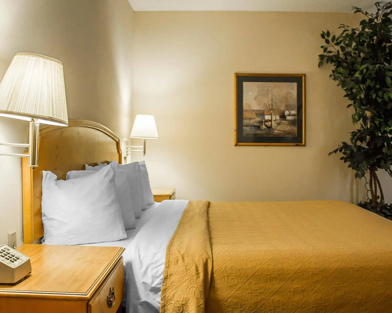 Quality Inn & Suites Bellville - Mansfield