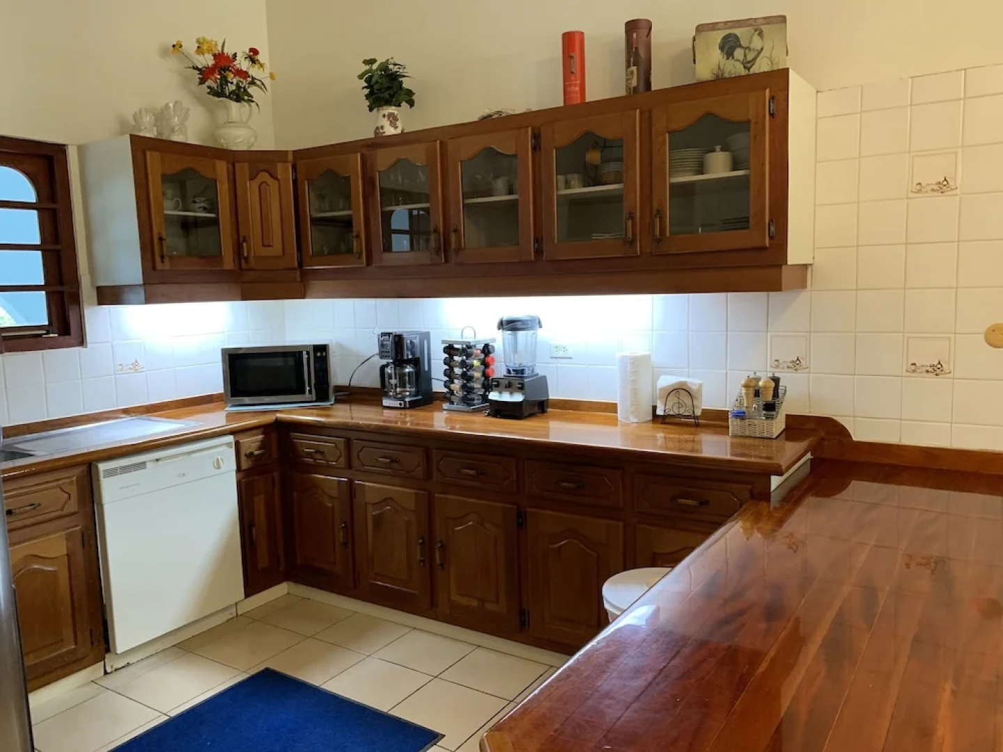 A Beautiful Aruba Salina Cerca Villa