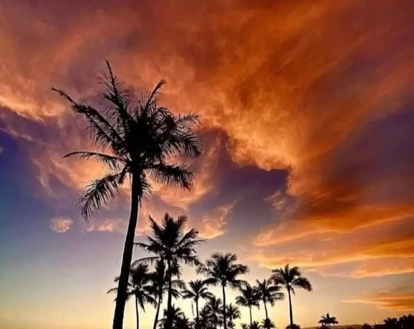 Riviera: M4 Giardino 44A, frente Praia, 4Dorms, 3Banh, 2Gar, Varanda Gourmet com Churrasqueira