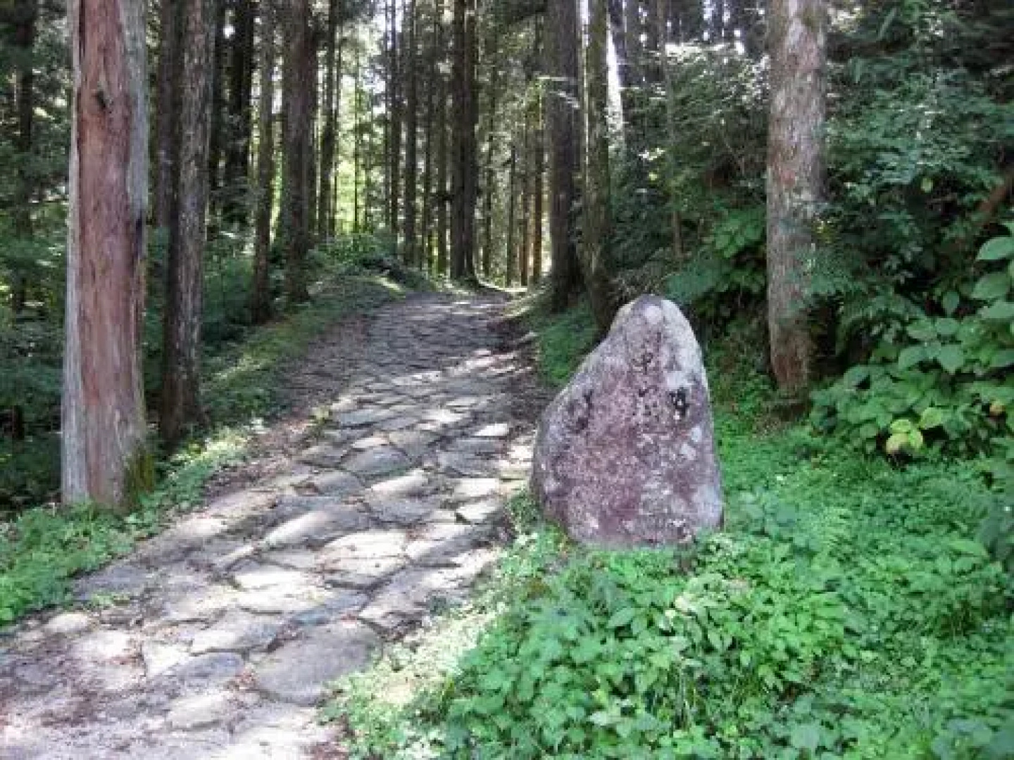 Atera Onsen Forespa Kiso Ryokan