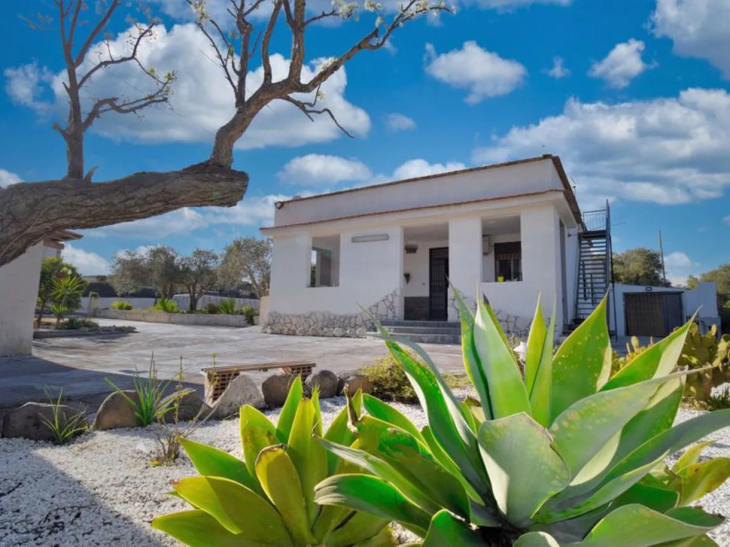 House Brunella Augusta