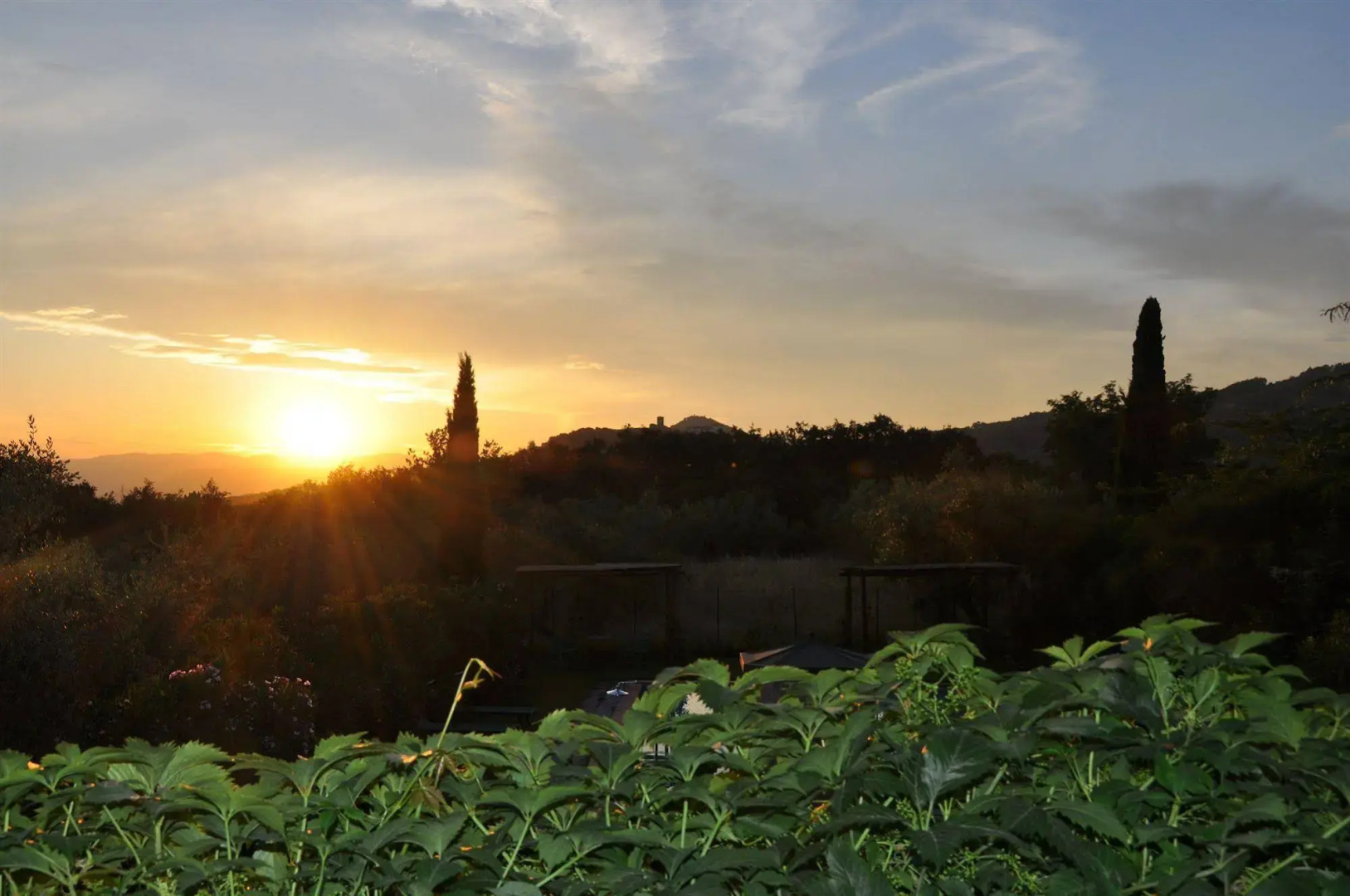 Agriturismo Podere Marchiano