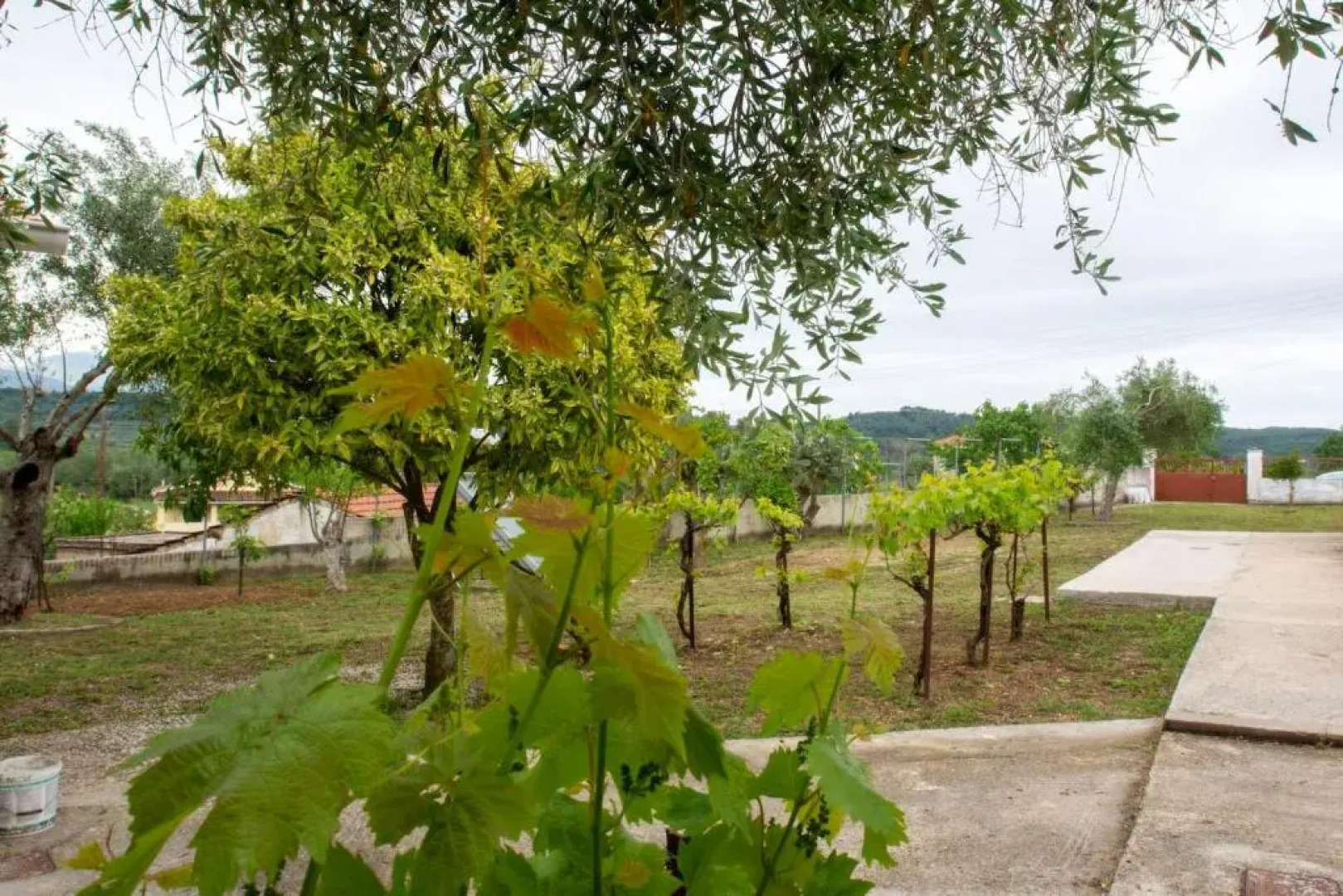 Kanakades Village House