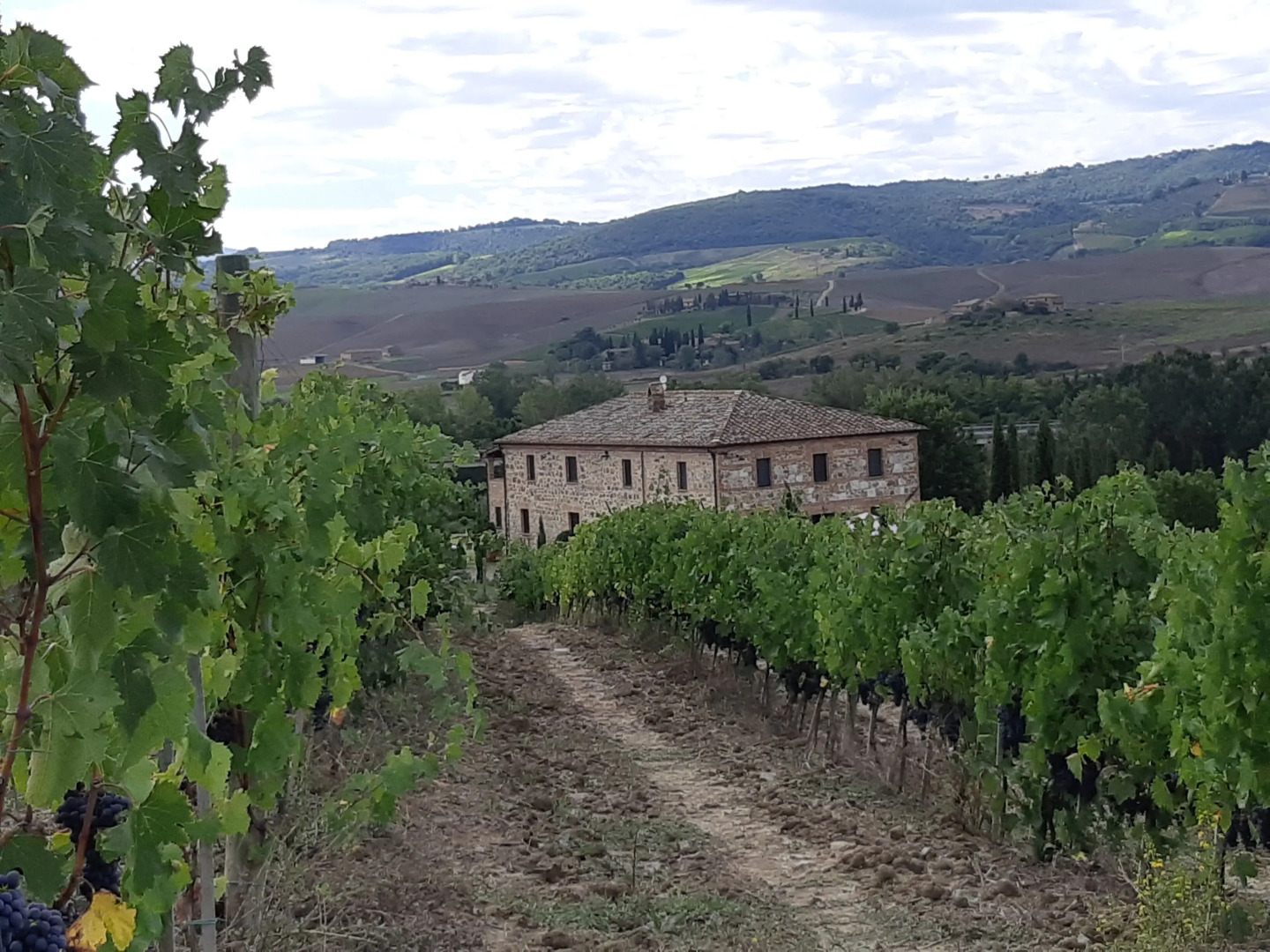 Cordella In Montalcino Wine Resort
