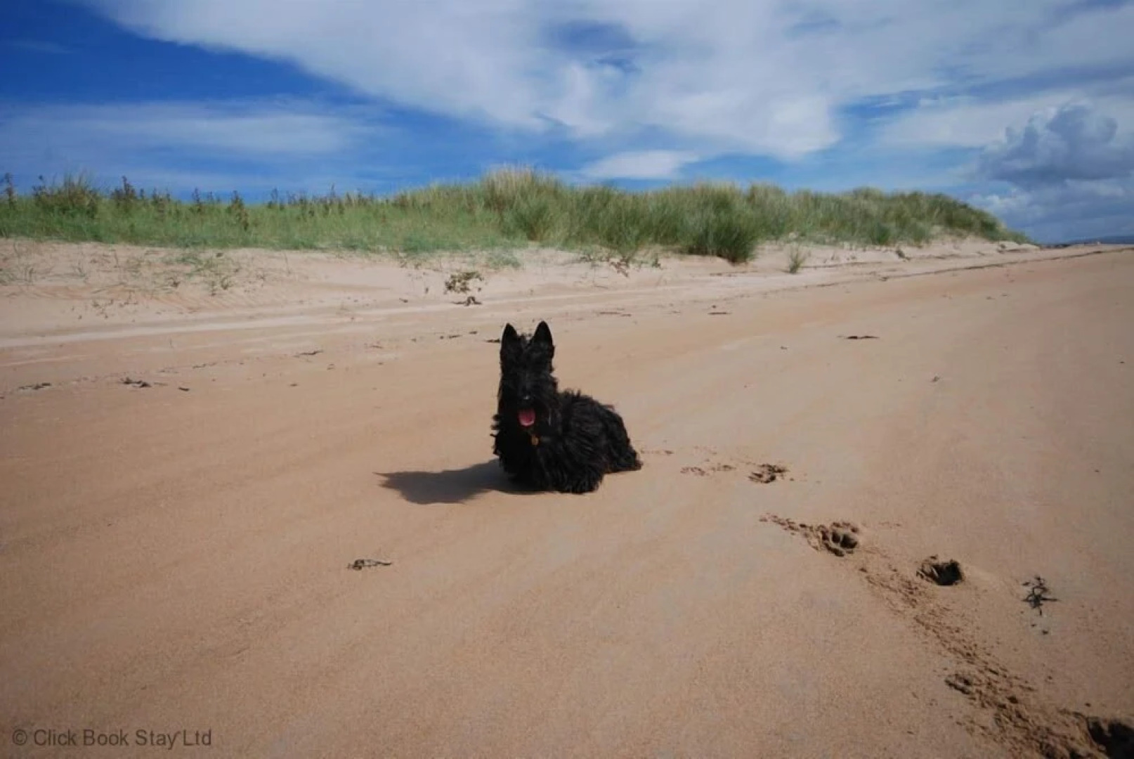 Portrush - Hope Cottage - sleeps 5 guests  in 3 bedrooms