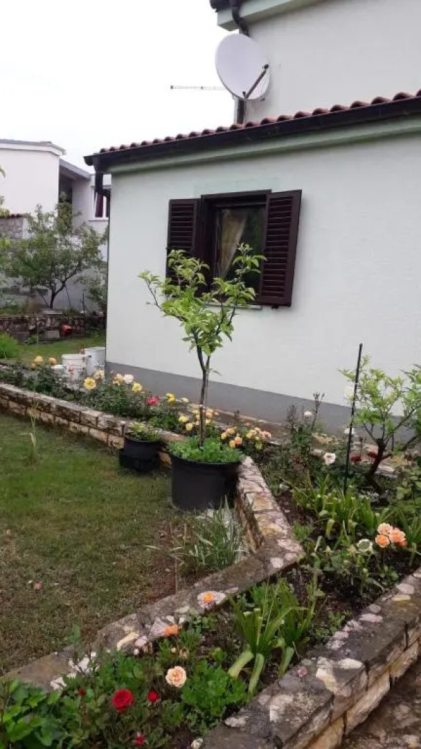 Apartment Green Paradise