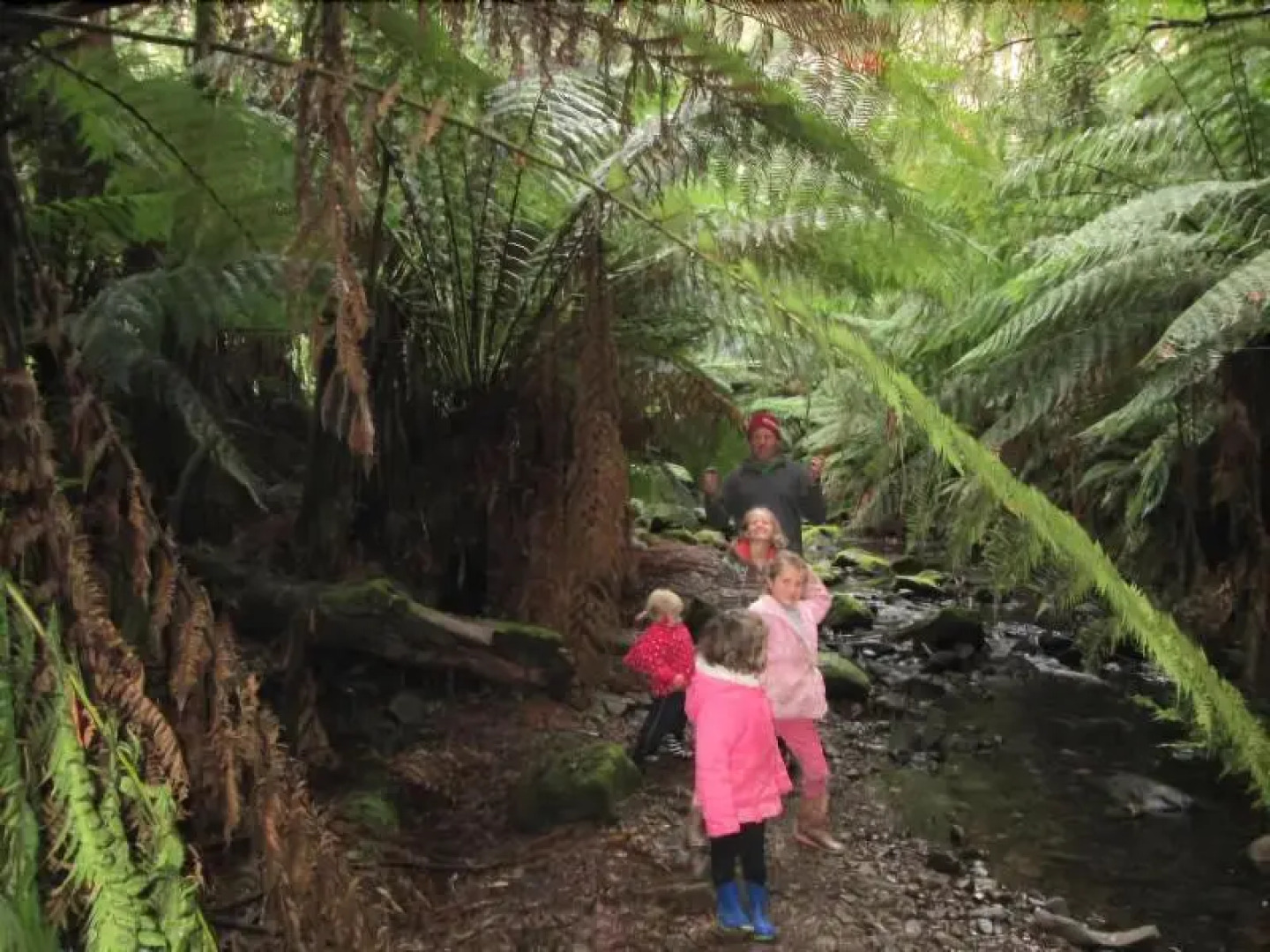 12 Apostles Cottages