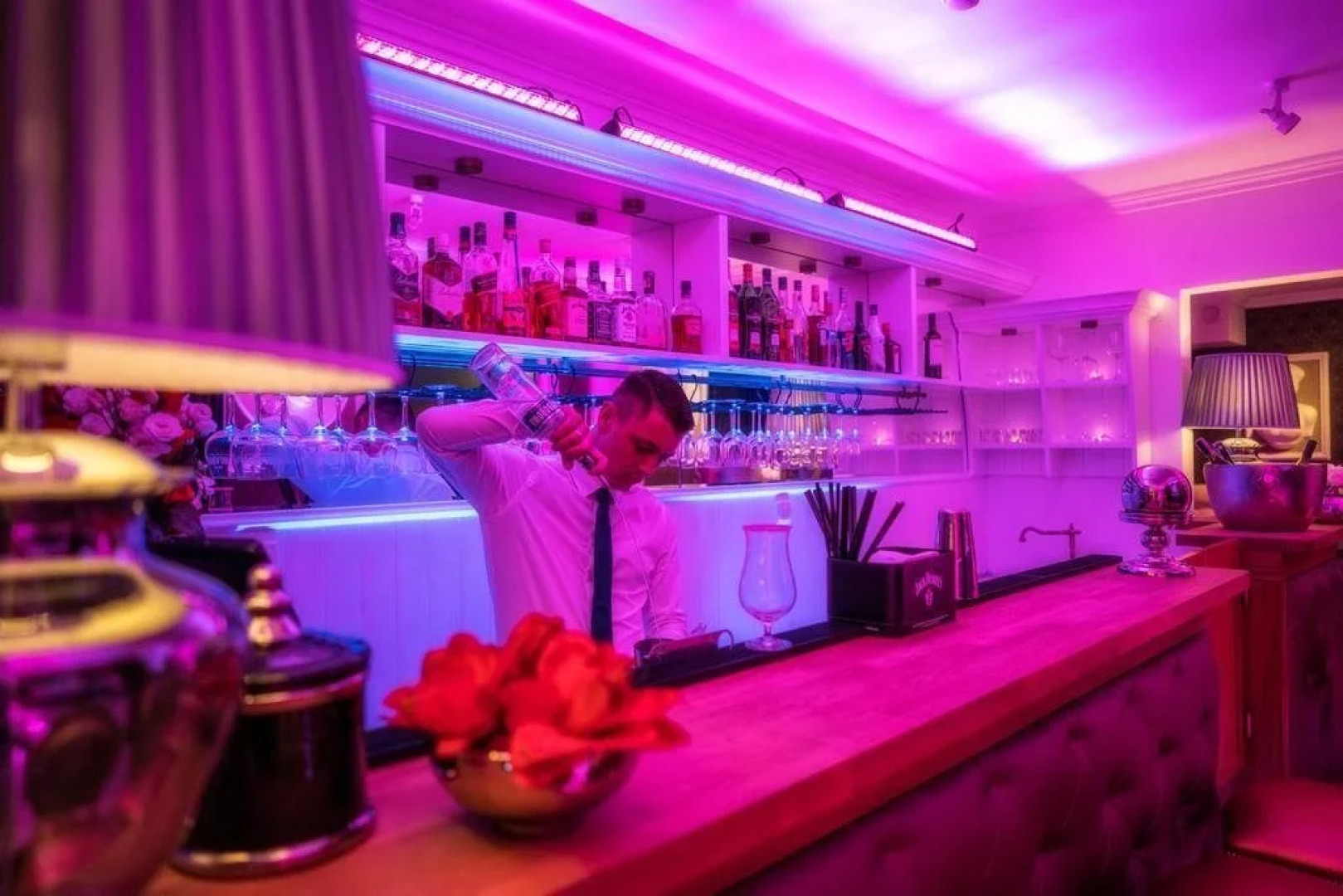 Hotel Pałac Alexandrinum