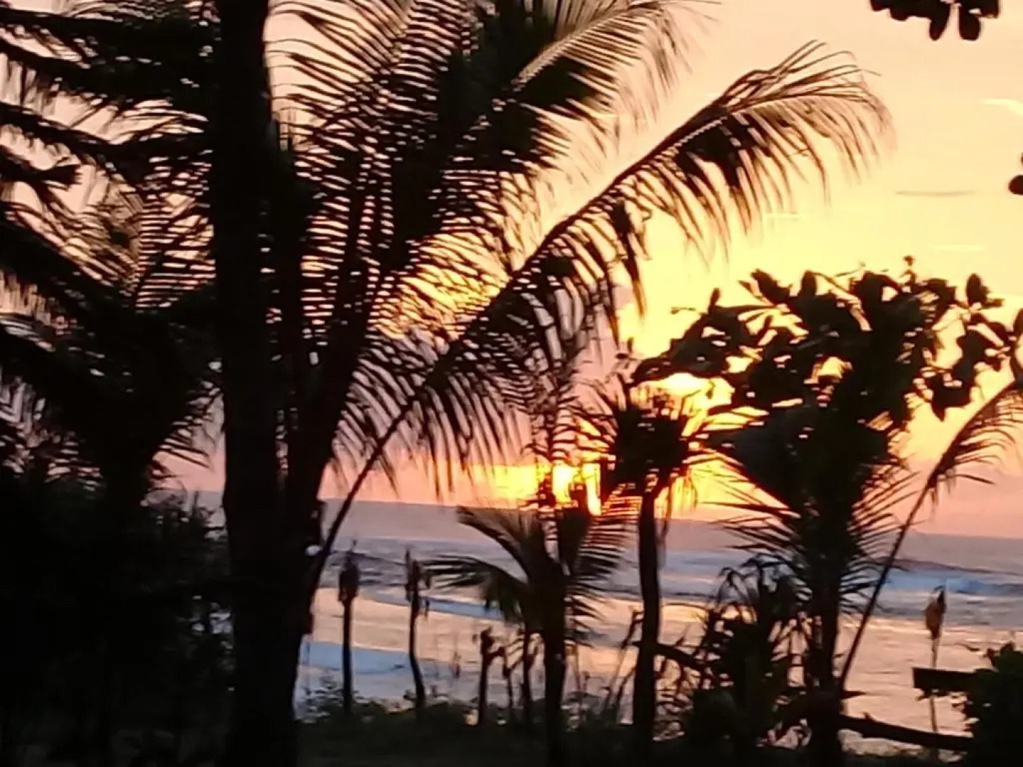 Castaway Surf Retreat 1