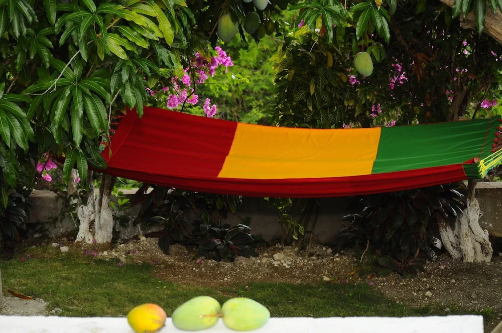 Hillside Ocean View Villa