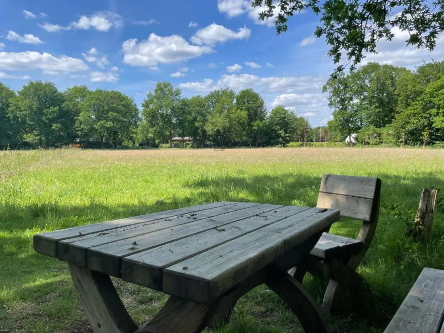 Landgoed Dennenholt - 5 unique holiday homes