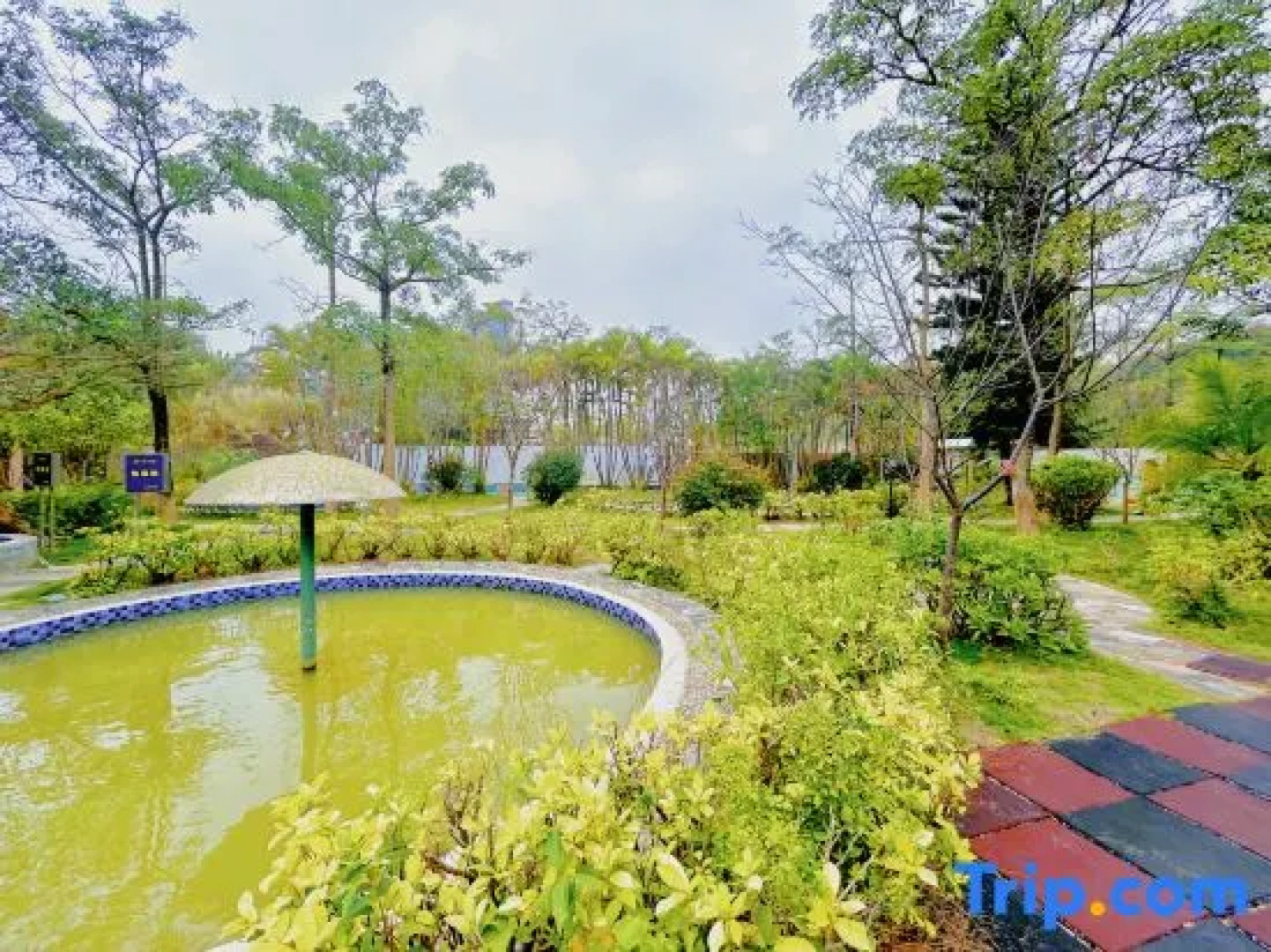 Taishan Zehui Hot Spring Resort