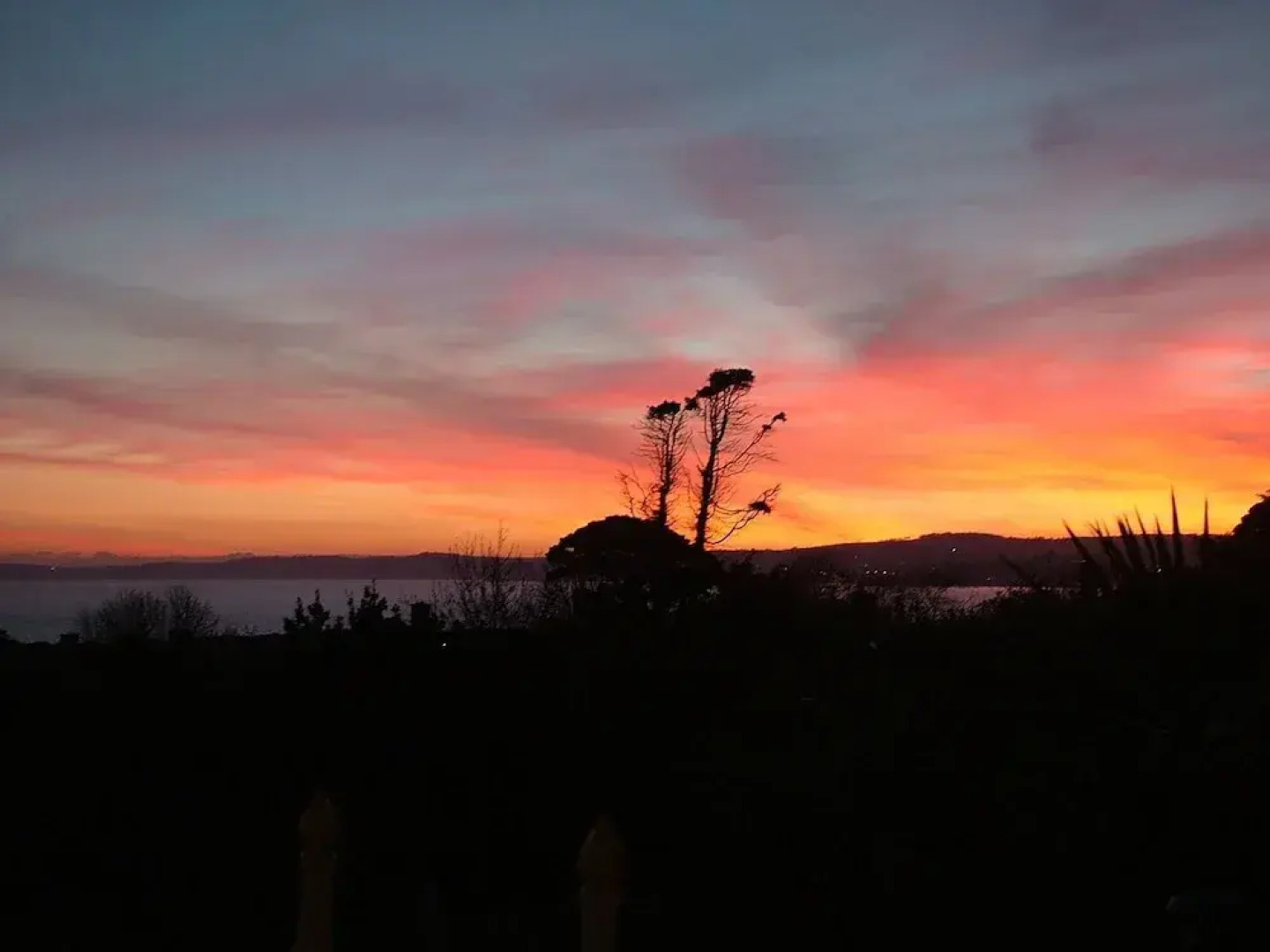 The Devoncourt Resort