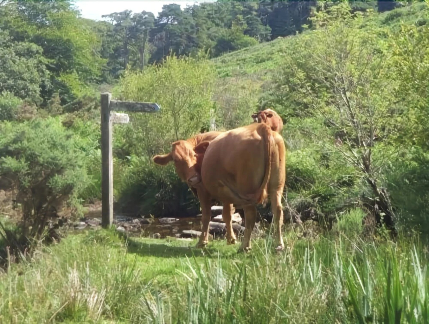 Wydemeet Bed and Breakfast