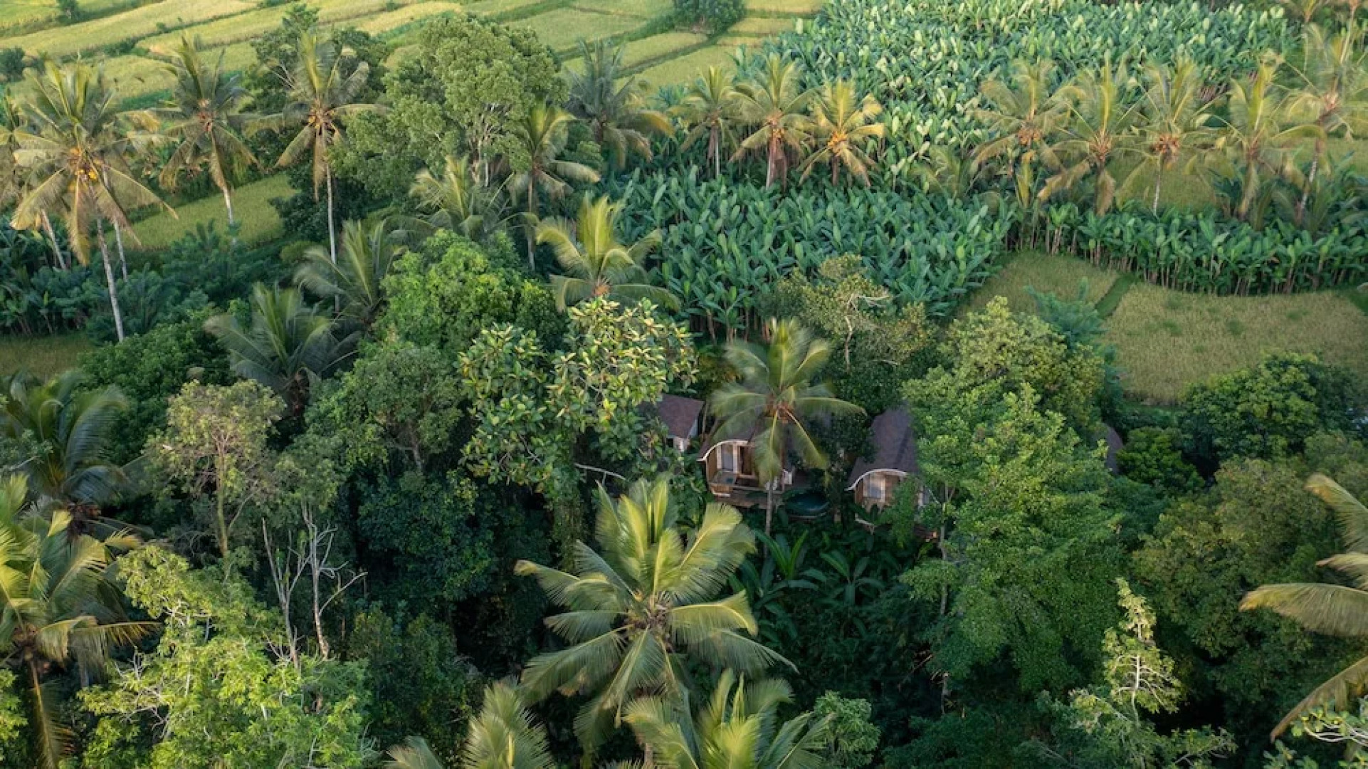 Sacred Canyon Ubud by GenuineHost