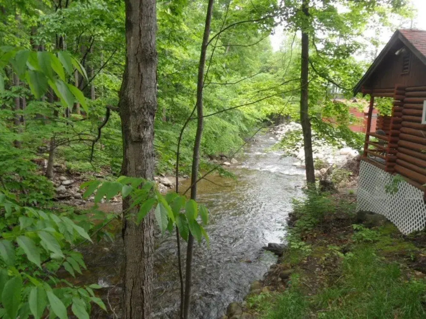 Seven Dwarfs Motel and Cabins