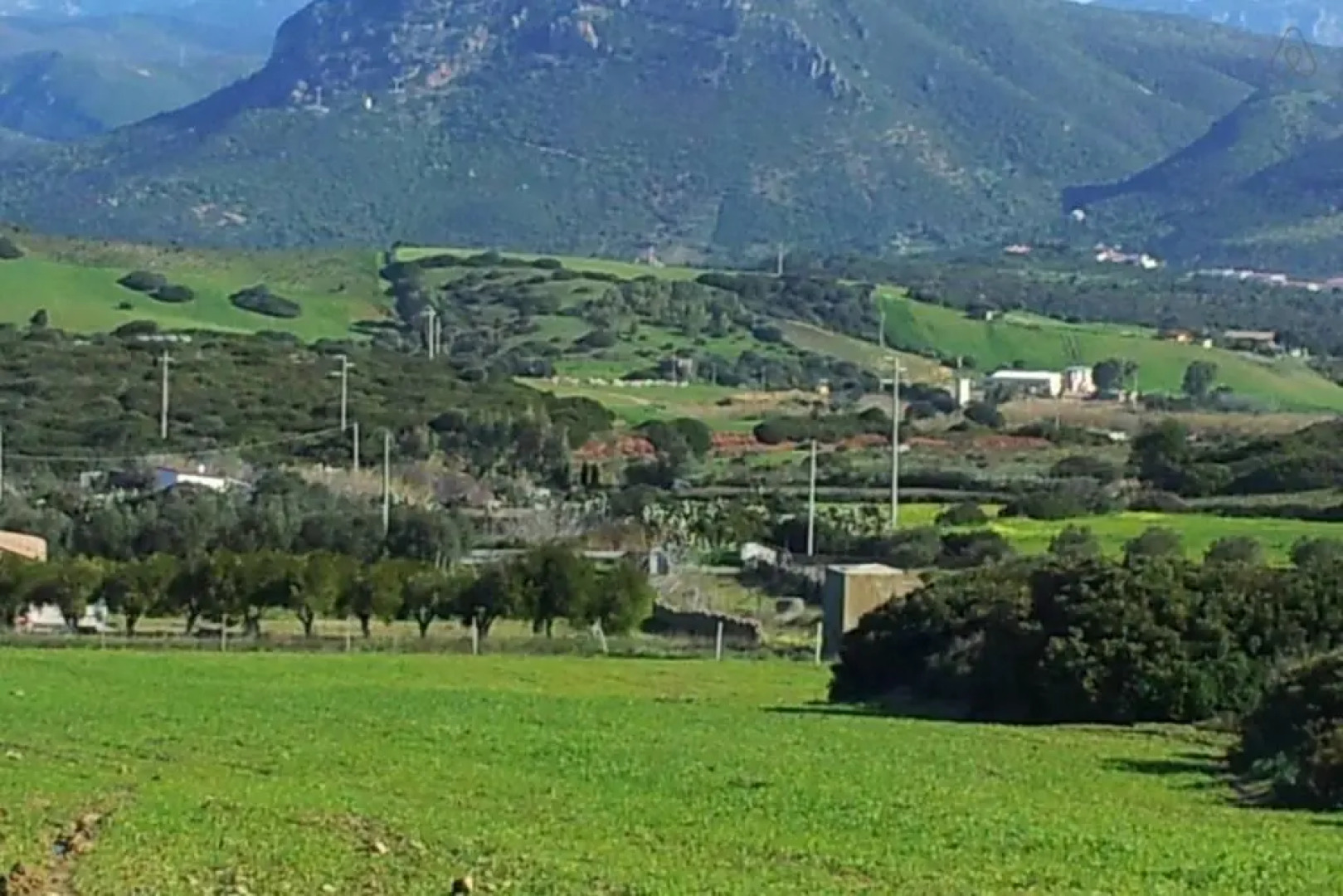 Apartment Nuraghe, barrierefrei, auf Olivenhain