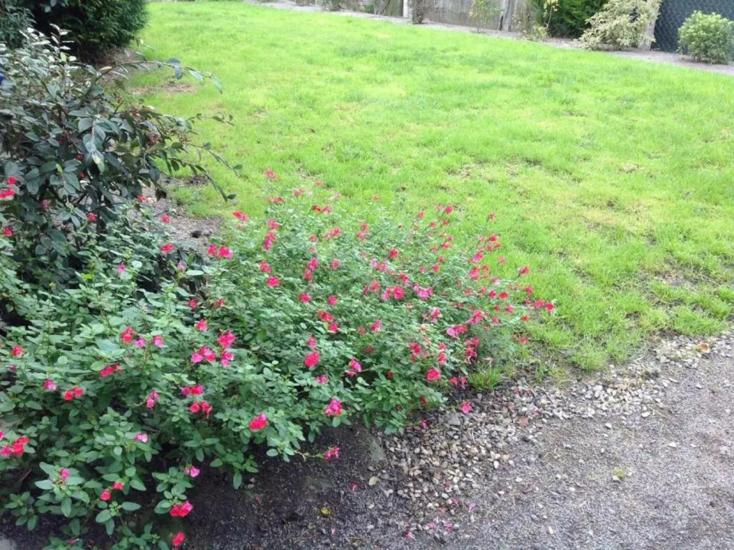 Appartement Ségrie-Fontaine, 2 pièces, 2 personnes - FR-1-497-93