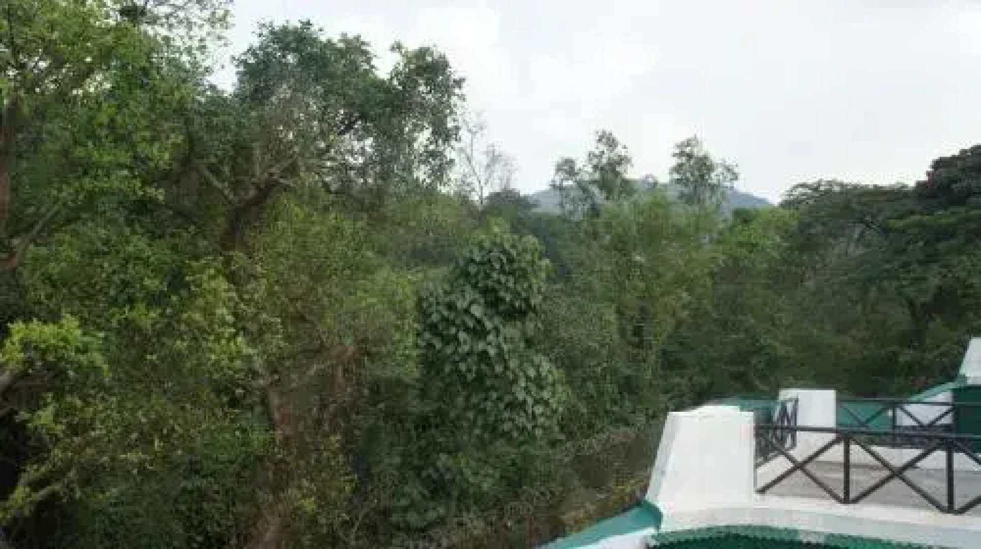 Velvet County Resort