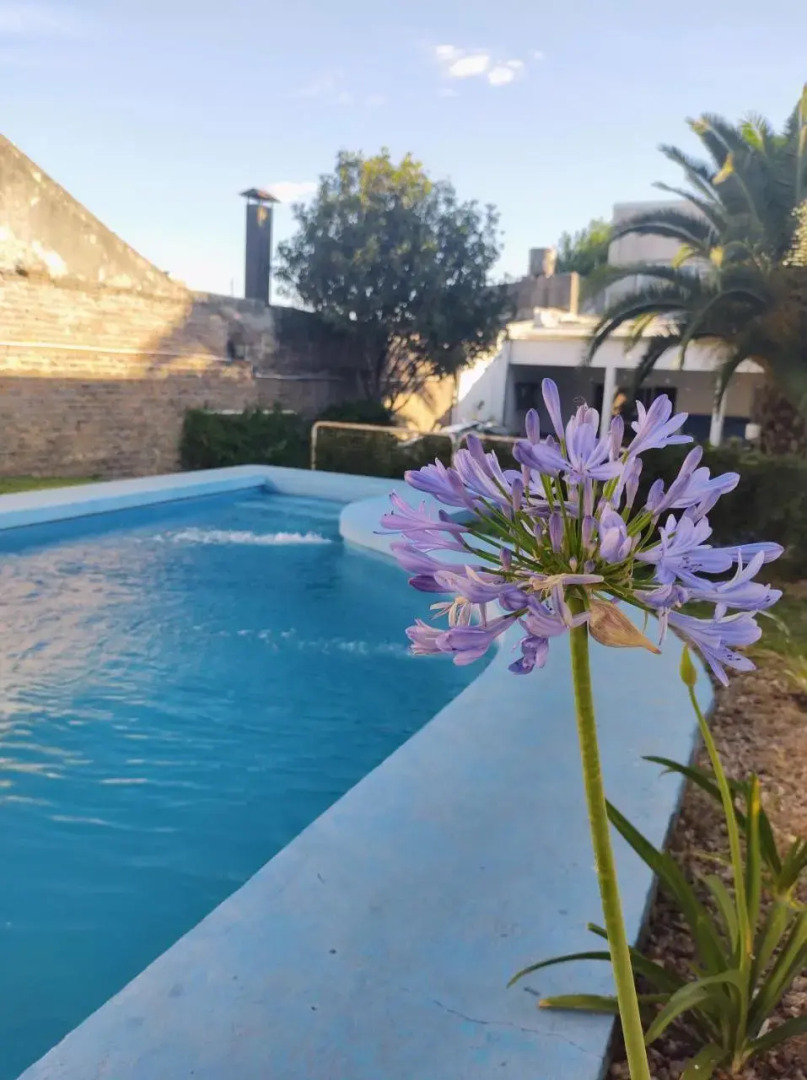 El Bicho Negro Hostel