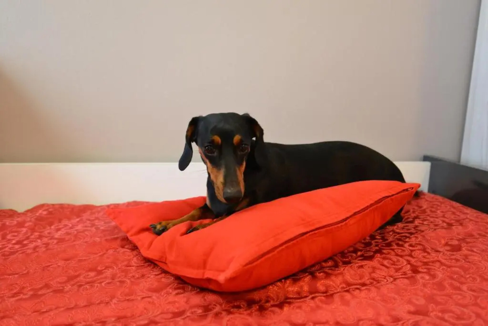 Antiche Mura Casa Vacanze