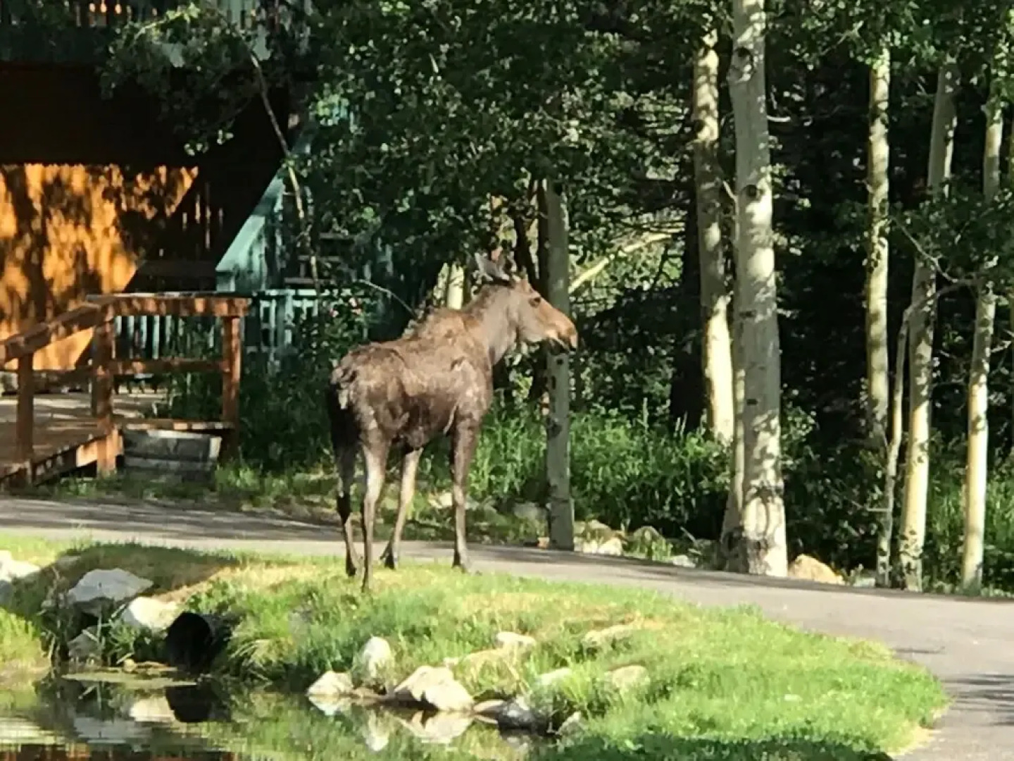 Riverside Lodge & Retreat